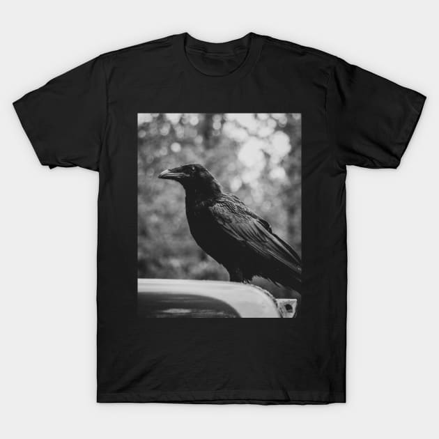 The Raven T-Shirt by jonesing